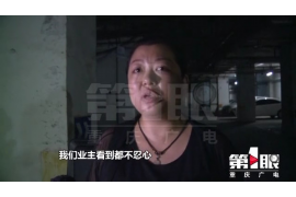 订单(催收公司)已还:揭秘催收行业的新趋势 订单(催收公司)已还:揭秘催收行业的新趋势